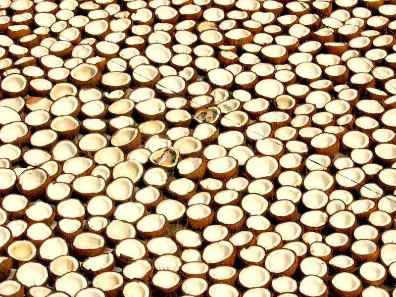 Unlimited Uses For Coconut Oil
