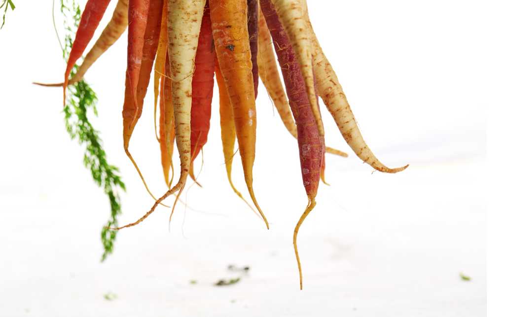 Benefits of Plant-Based Diets