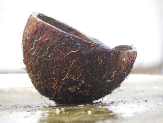 Oil Pulling "How-To" Guide